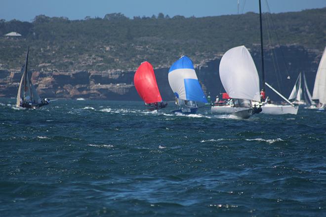 Sydney Sailmakers leads Geotherm and Little Bus © Vita Williams